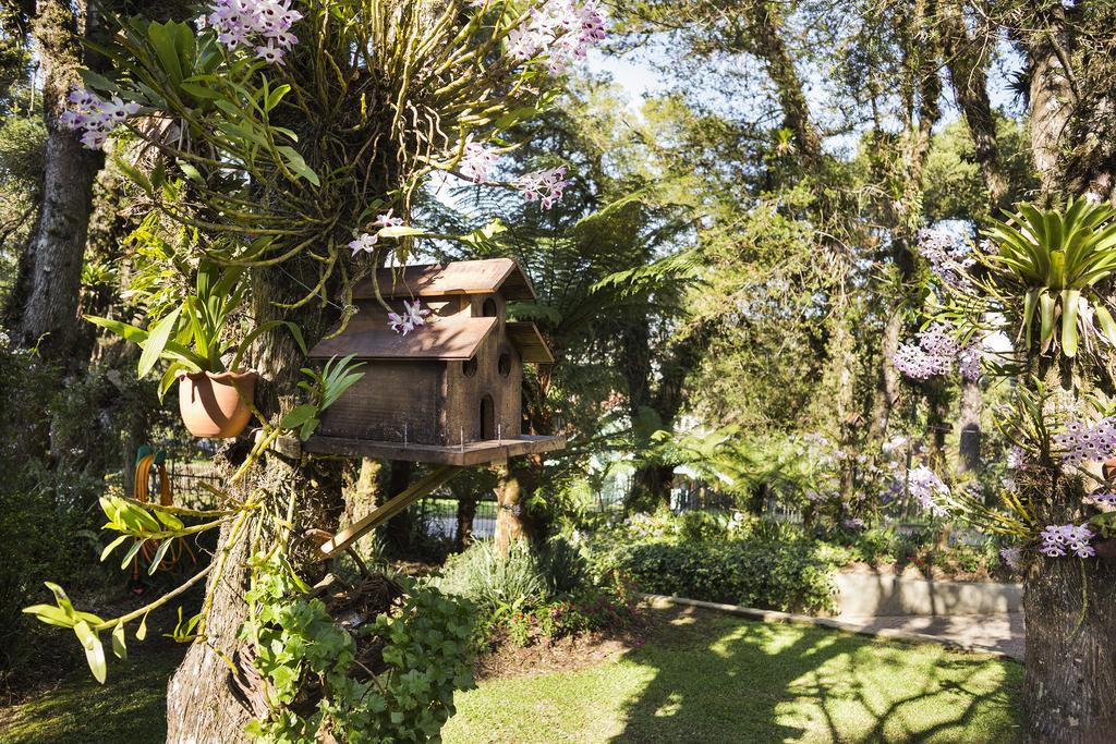 Solar Das Orquideas Otel Canela Dış mekan fotoğraf