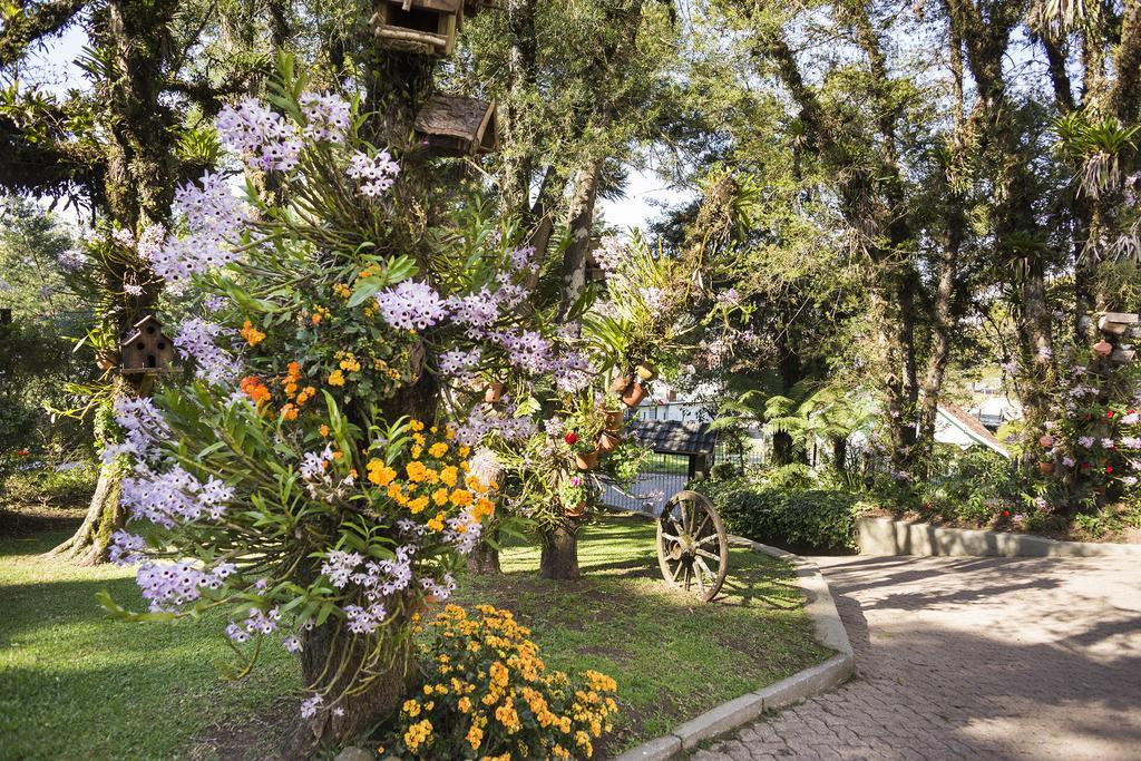 Solar Das Orquideas Otel Canela Dış mekan fotoğraf